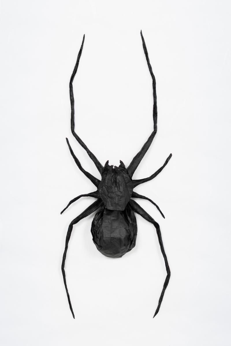 black-widow.jpg
