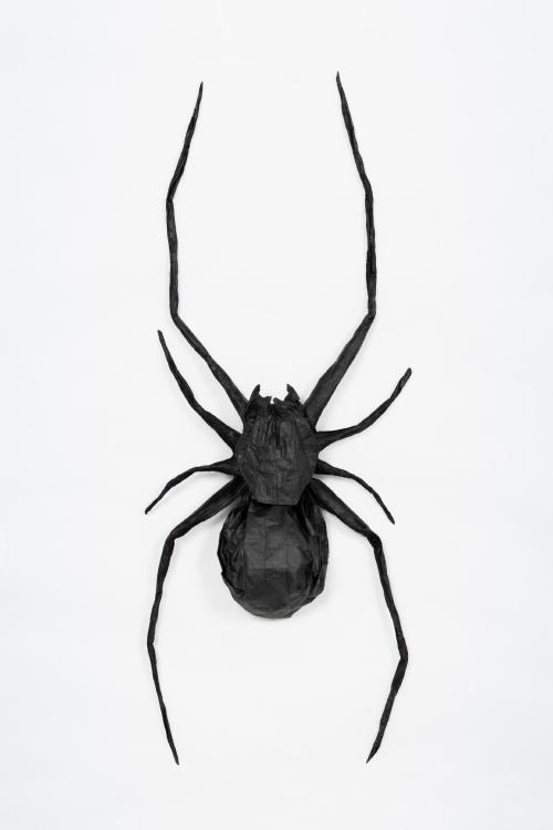 black-widow.jpg